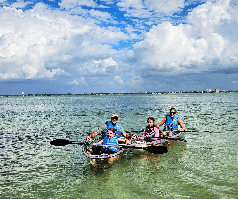 Dolphins swimming under clear kayak