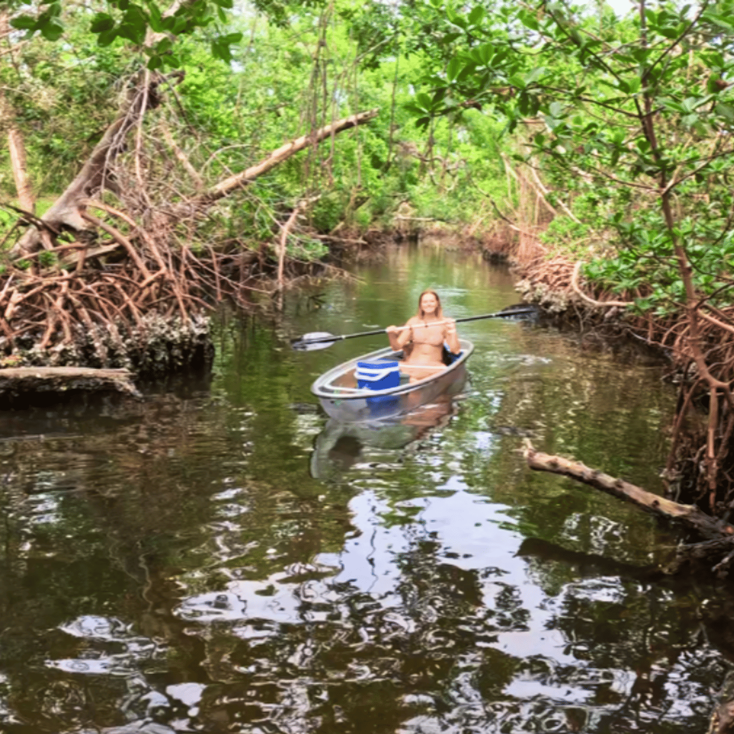 Bradenton Florida clear kayak mangrove tunnel eco tour through scenic waterways
