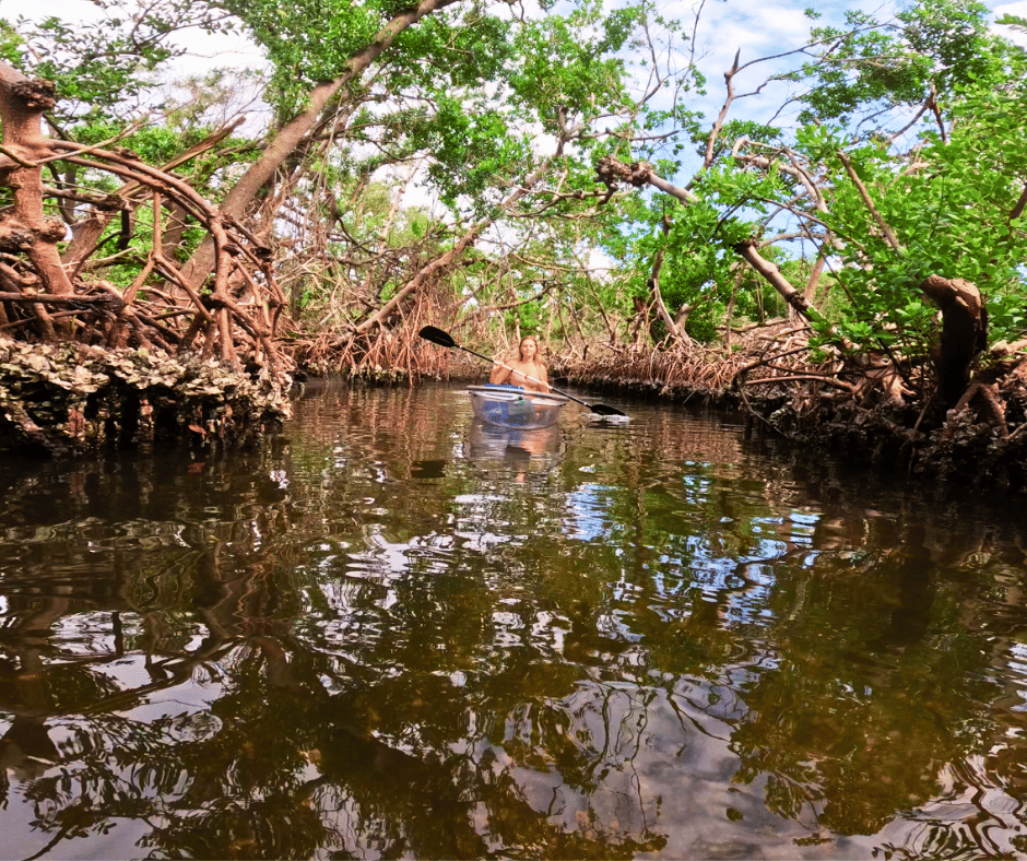 Clear kayak tour group photo