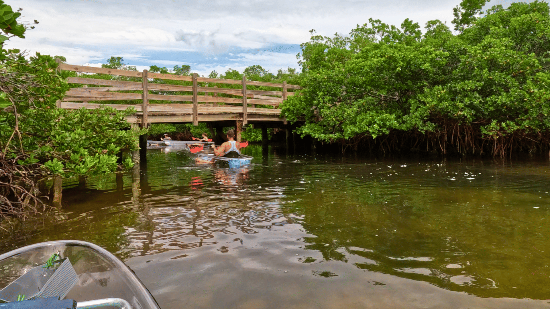 Bradenton kayak tours with wildlife viewing opportunities – Dolphin encounters