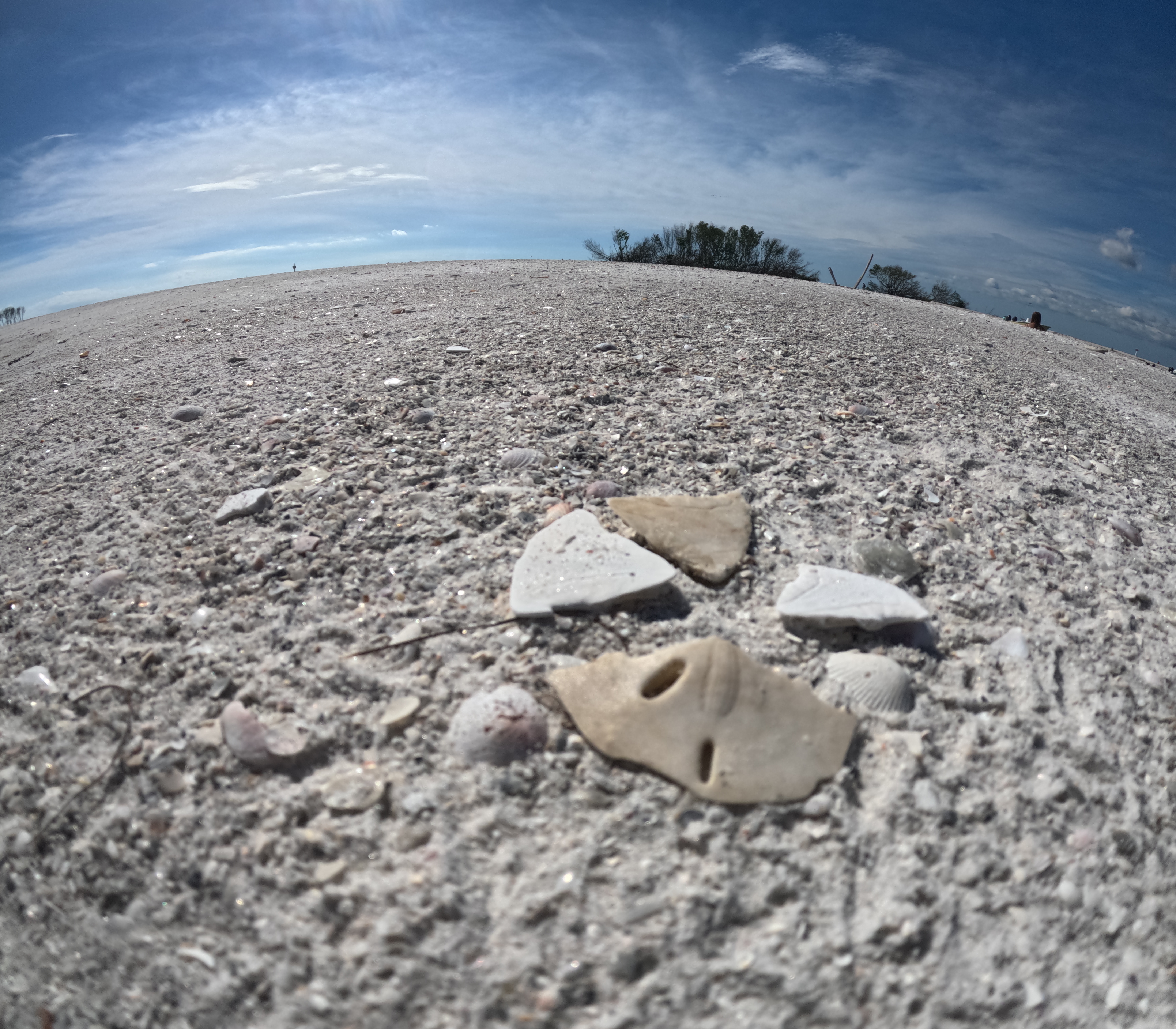 Clear kayak on St. Pete waters