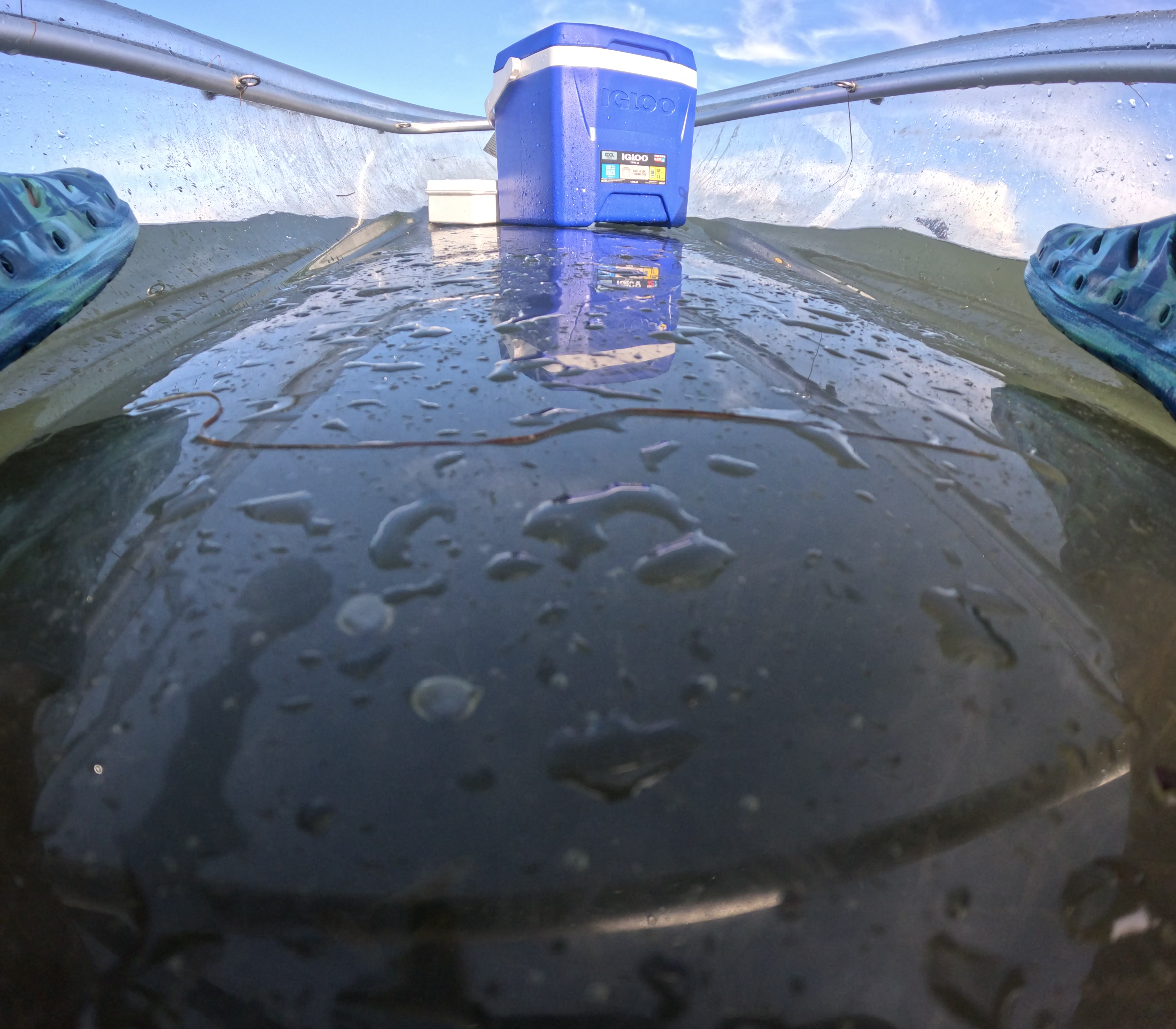 Family in clear kayaks St. Pete