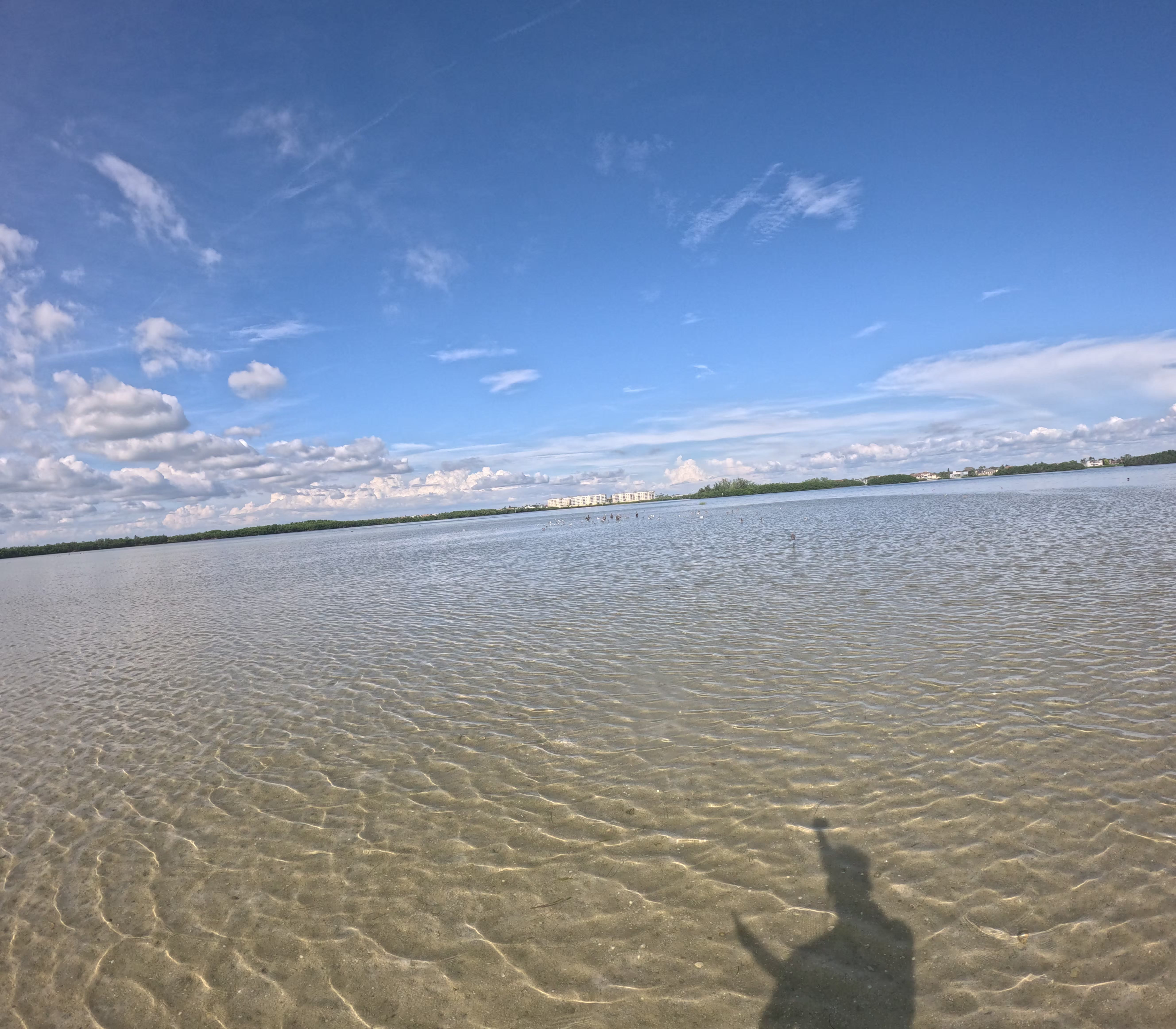 St. Pete coastal scenery from kayak
