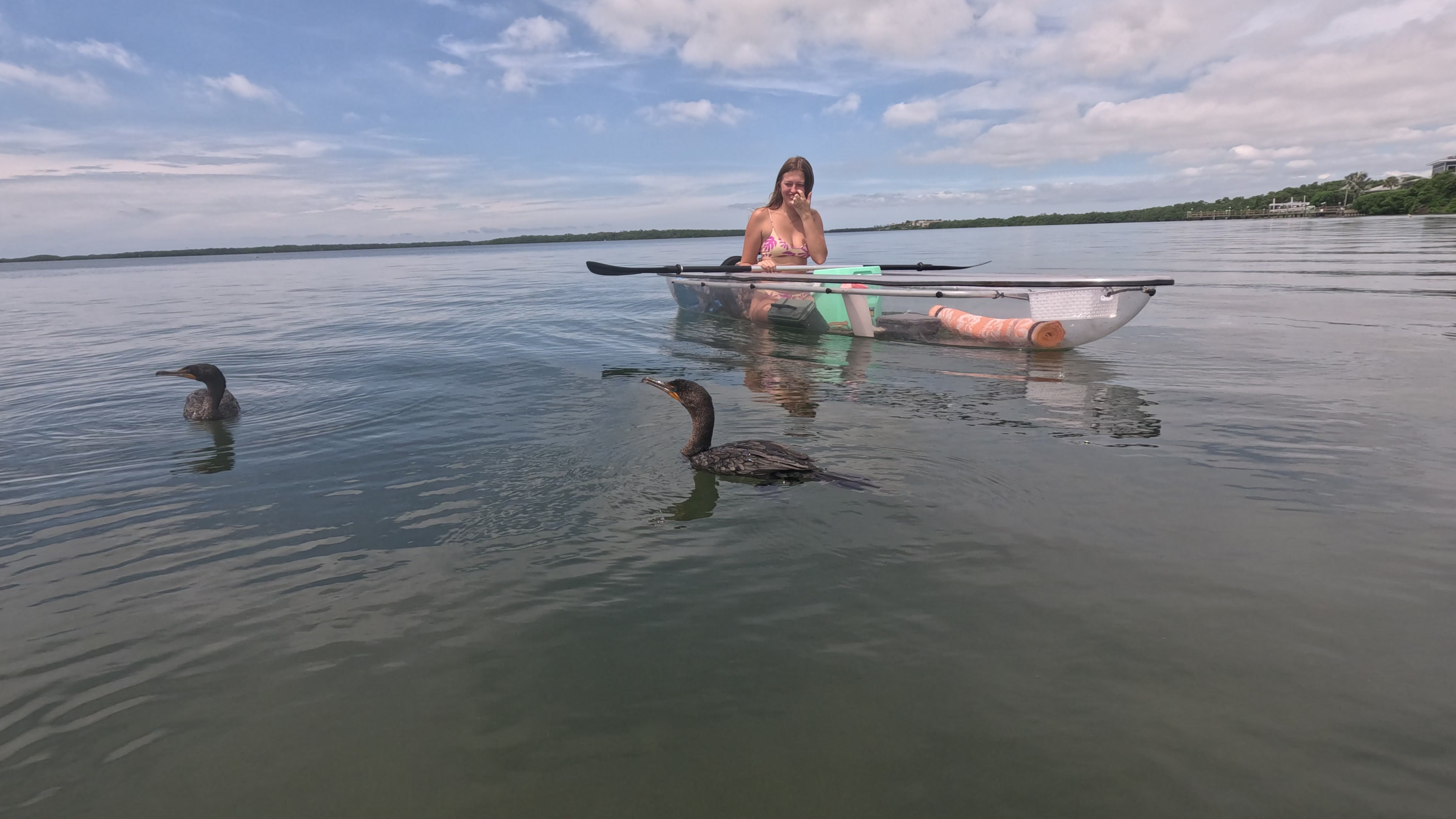 Sunset from St. Pete kayak rental